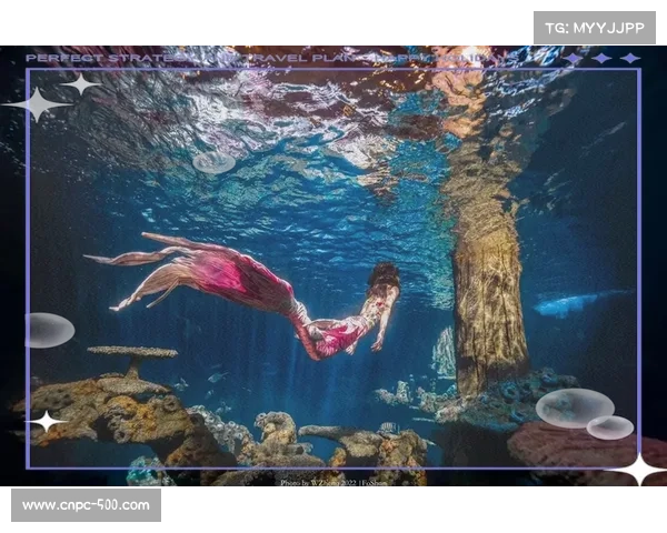 湛江潜校夏令营:探寻海底奇妙美人鱼世界 湛江潜校夏令营:探寻海底奇妙美人鱼世界